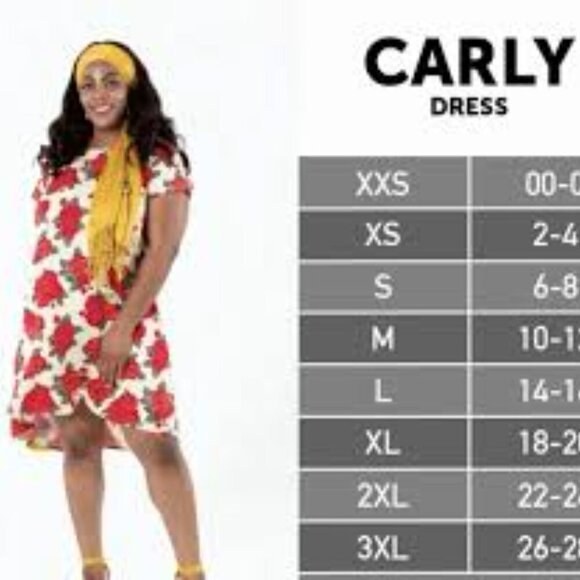 LuLaRoe Carly Swing Dress Retro Floral Orange Turquoise NEW Size S - Picture 9 of 16